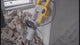 Ciocan electric Werstil 1100w